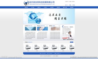 科技發(fā)展公司網(wǎng)站 網(wǎng)絡(luò)技術(shù)開發(fā)的視覺呈現(xiàn)