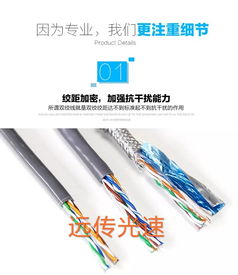 遠傳光速國標過測網線 超五類品質，300米無氧銅芯的可靠之選